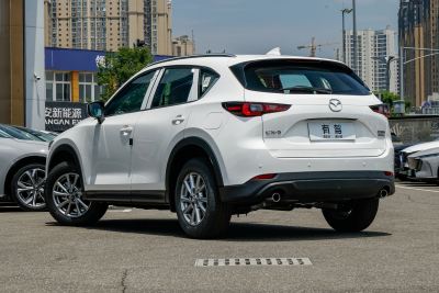 2025款 2.0L 自动两驱智雅Pro-外观-图片-有驾