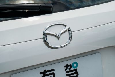 2025款 2.0L 自动两驱智雅Pro-外观-图片-有驾