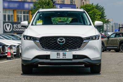 2025款 2.0L 自动两驱智雅Pro-外观-图片-有驾