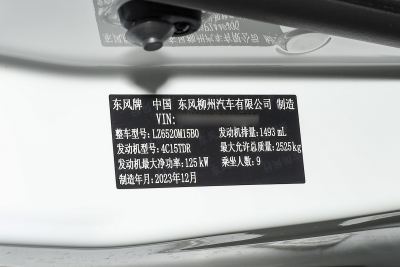 2024款 1.5T 手动舒适型 9座-外观-图片-有驾