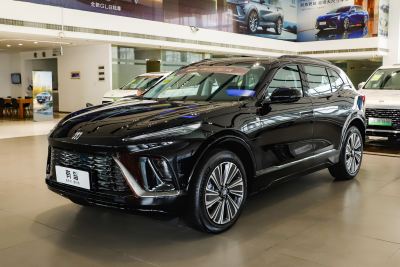 2024款 臻享标续影音版-外观-图片-有驾