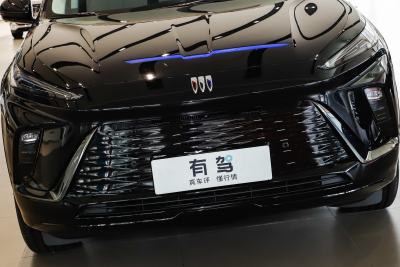 2024款 臻享标续影音版-外观-图片-有驾