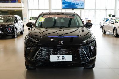 2024款 臻享标续影音版-外观-图片-有驾