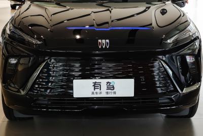 2024款 臻享标续影音版-外观-图片-有驾