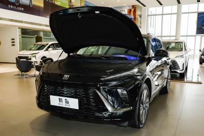 2024款 臻享标续影音版-外观-图片-有驾