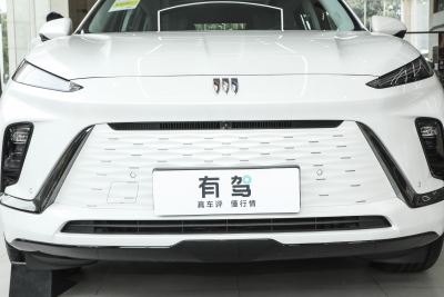 2024款 臻享标续影音版-外观-图片-有驾
