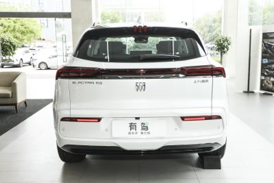 2024款 臻享标续影音版-外观-图片-有驾