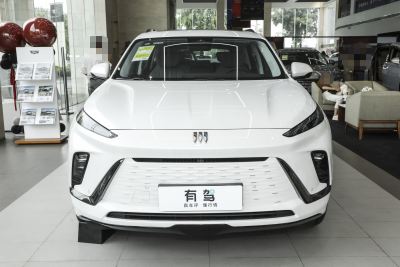 2024款 臻享标续影音版-外观-图片-有驾