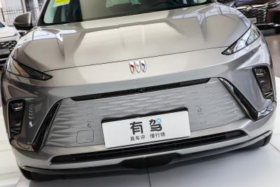 2024款 臻享标续影音版-外观-图片-有驾