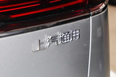 2024款 臻享标续影音版-外观-图片-有驾