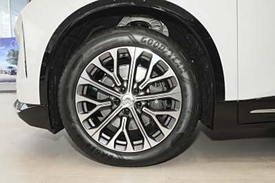 2025款 100kWh-外观-图片-有驾