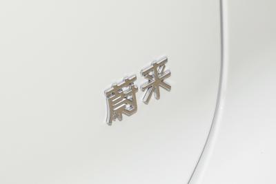 2025款 100kWh-外观-图片-有驾