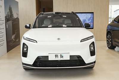 2025款 100kWh-外观-图片-有驾