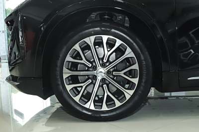 2025款 100kWh-外观-图片-有驾