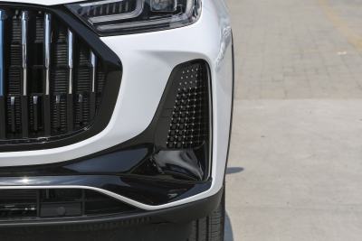 2023款 冠军版 1.5T 100KM 锋速-外观-图片-有驾