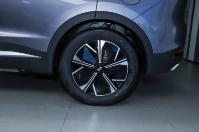 2023款 冠军版 1.5T 100KM 锋速-外观-图片-有驾