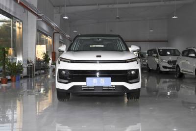 2021款 金甲版Pro-外观-图片-有驾