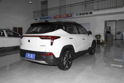 2021款 金甲版Pro-外观-图片-有驾