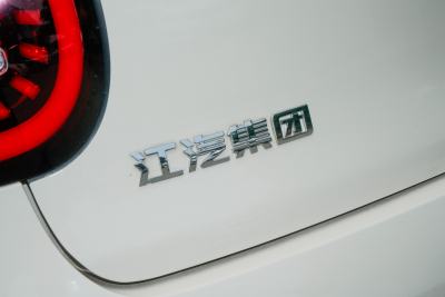 2024款 挚爱版 505km 冠军版-外观-图片-有驾