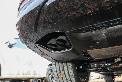 2026款 380TSI DSG尊贵版大迈包-外观-图片-有驾