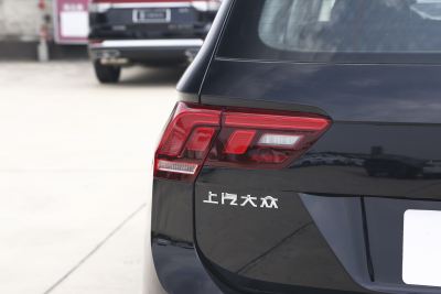 2024款 出众款 330TSI 自动两驱R-Line龙耀版-外观-图片-有驾