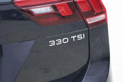 2024款 出众款 330TSI 自动两驱R-Line龙耀版-外观-图片-有驾