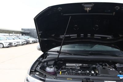 2024款 出众款 330TSI 自动两驱R-Line龙耀版-外观-图片-有驾