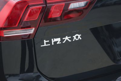 2024款 出众款 330TSI 自动两驱R-Line龙耀版-外观-图片-有驾