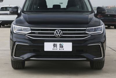 2024款 出众款 330TSI 自动两驱R-Line龙耀版-外观-图片-有驾
