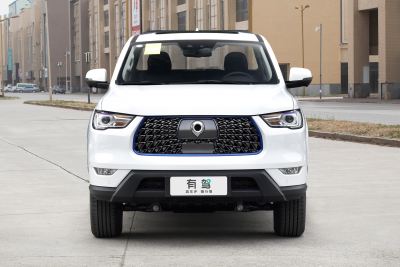 2021款 商用版领航型大双-外观-图片-有驾