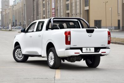 2021款 商用版领航型大双-外观-图片-有驾