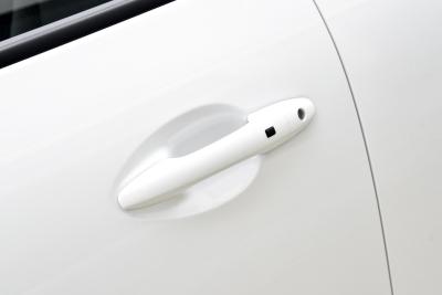 2021款 商用版领航型大双-外观-图片-有驾