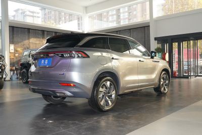 2020款 PHEV 致领版-外观-图片-有驾