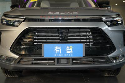 2020款 PHEV 致领版-外观-图片-有驾