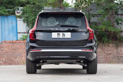 2026款 B6 四驱智远豪华版 6座-外观-图片-有驾