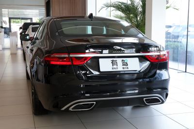 2024款 2.0T P250 两驱尊享豪华版-外观-图片-有驾