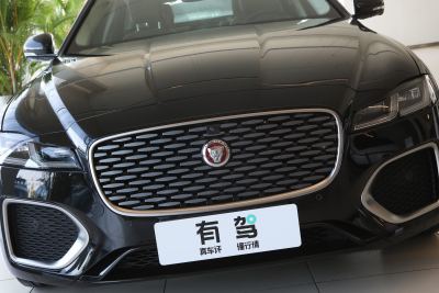 2024款 2.0T P250 两驱尊享豪华版-外观-图片-有驾