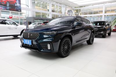 2020款 PHEV 2.0T 旗舰型-外观-图片-有驾