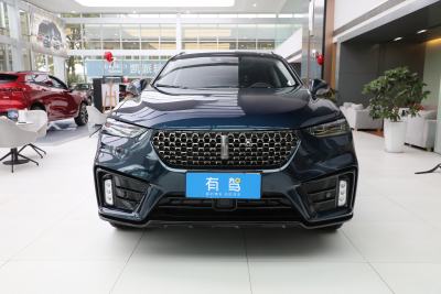 2020款 PHEV 2.0T 旗舰型-外观-图片-有驾