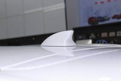 2021款 DM 2.0T 四驱高性能版创世旗舰型-外观-图片-有驾