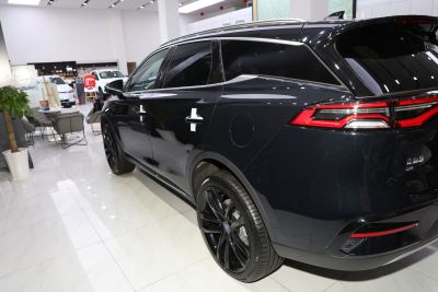 2021款 DM 2.0T 四驱高性能版创世旗舰型-外观-图片-有驾