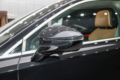 2021款 DM 2.0T 四驱高性能版创世旗舰型-外观-图片-有驾