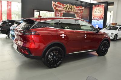 2021款 DM 2.0T 四驱高性能版创世旗舰型-外观-图片-有驾