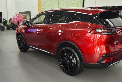 2021款 DM 2.0T 四驱高性能版创世旗舰型-外观-图片-有驾