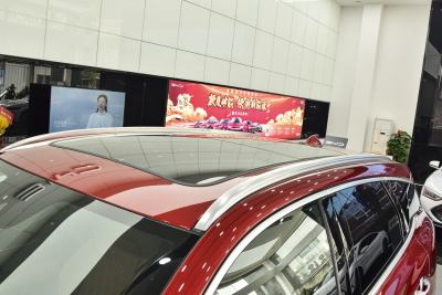 2021款 DM 2.0T 四驱高性能版创世旗舰型-外观-图片-有驾