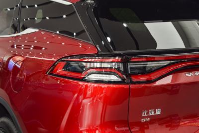 2021款 DM 2.0T 四驱高性能版创世旗舰型-外观-图片-有驾