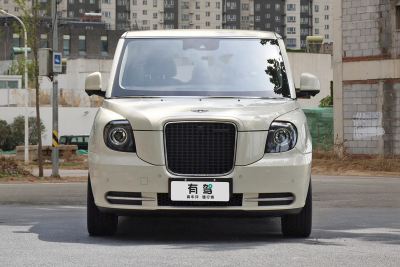 2023款 TX5 增程商务版-外观-图片-有驾