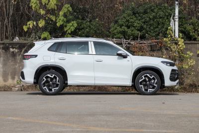 2026款 探岳L 330TSI 两驱精英City包-外观-图片-有驾