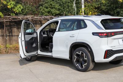 2026款 探岳L 330TSI 两驱精英City包-外观-图片-有驾