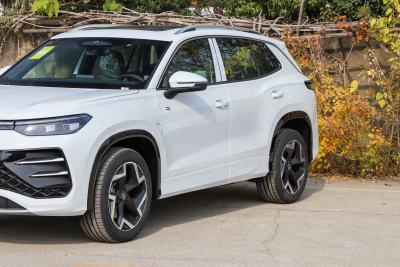2026款 探岳L 330TSI 两驱精英City包-外观-图片-有驾